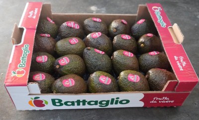 Foto Avocado Hass Origine Colombia Calibro 20 Marchio Battaglio 1