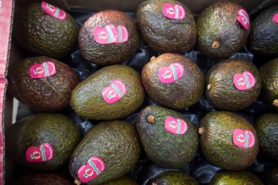 Foto Avocado Hass Origine Colombia Calibro 20 Marchio Battaglio 2