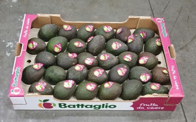Foto Avocado Hass Calibro 30 Origine Peru Marchio Battaglio             1