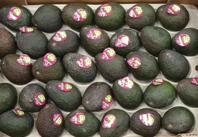 Foto Avocado Hass Calibro 30 Origine Peru Marchio Battaglio             2