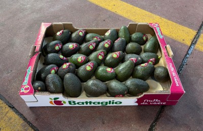 Foto Avocado Hass Calibro 32 Origine Cile Marchio Battaglio     1