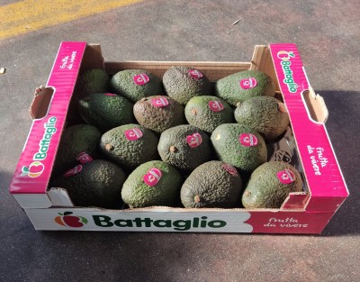 Foto Avocado Varietà Hass Calibro 16  Origine Cile Marchio Battaglio  1