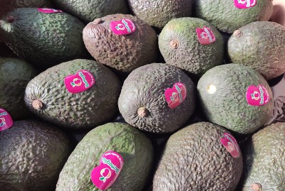 Foto Avocado Varietà Hass Calibro 16  Origine Cile Marchio Battaglio  2