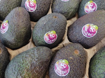 Foto Avocado Varietà Hass Origine Israele  Marchio  Ready to Eat 2