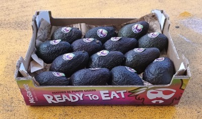 Foto Avocado Hass  Calibro 14 Origine Sud Africa Marchio Ready To Eat 1