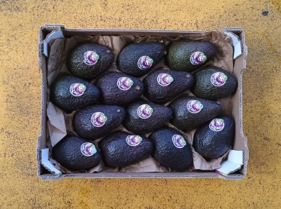 Foto Avocado Hass  Calibro 14 Origine Sud Africa Marchio Ready To Eat 3