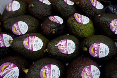 Foto Avocado Varietà Hass Origine Israele  Marchio ''Ready to Eat'' Confezione da 16 Frutti           2