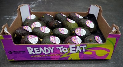 Foto Avocado Varietà Hass Origine Israele  Marchio ''Ready to Eat'' Confezione da 16 Frutti           3