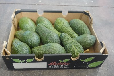 Foto Avocado Varietà Pinkerton Calibro 10  Origine Israele Marchio Galilee 1