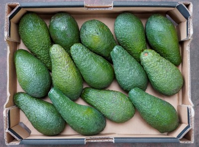 Foto Avocado Varietà Pinkerton Confezione da 14 Frutti Origine Israele 3
