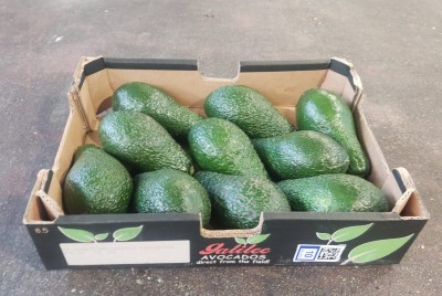 Foto Avocado Pinkerton Calibro 10 Origine Israele Marchio Galilee        1