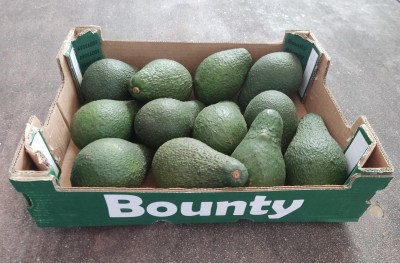 Foto Avocado Varietà Pinkerton Origine Sudafrica Marchio ''Bounty'' Confezione da 12 Frutti 1