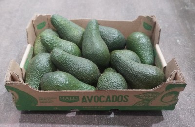 Foto Avocado varietà Pinkerton calibro 12 Origine Israele Marchio Avocados      1