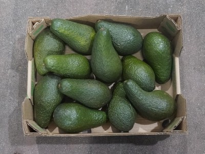 Foto Avocado varietà Pinkerton calibro 12 Origine Israele Marchio Avocados      3