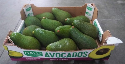 Foto Avocado Varietà Pinkerton Calibro 12/14 Origine Kenia Marchio Halls 1
