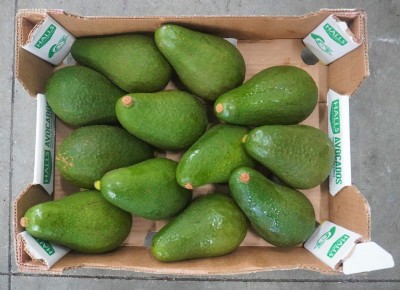 Foto Avocado Varietà Pinkerton Calibro 12/14 Origine Kenia Marchio Halls 2