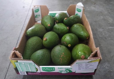 Foto Avocado Varietà Pinkerton Calibro 12/14 Origine Kenia Marchio Halls 3