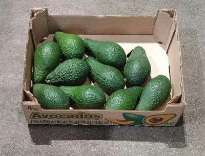 Foto Avocado Pinkerton Calibro 16 Origine Perù Marchio Avocaso  1