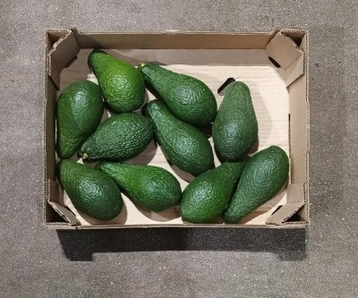 Foto Avocado Pinkerton Calibro 16 Origine Perù Marchio Avocaso  3