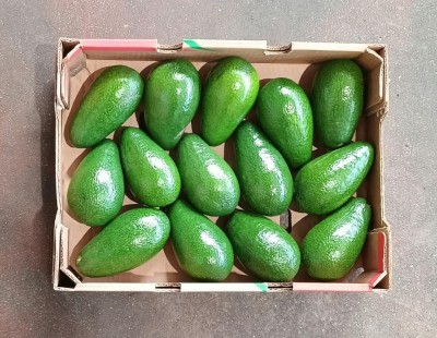 Foto Avocado Varietà Ettinger Calibro 12/14 Origine Israele Marchio Mehadrin  3