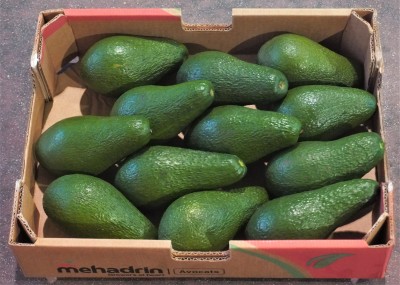 Foto Avocado Pinkerton Calibro 12 Origine Israele Marchio Medhadrin 1