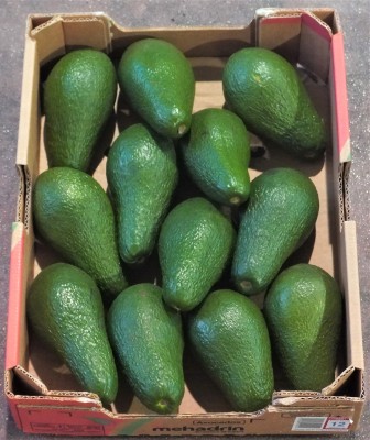 Foto Avocado Pinkerton Calibro 12 Origine Israele Marchio Medhadrin 3