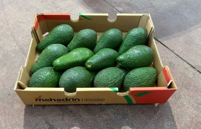 Foto Avocado Pinkerton Calibro 10/12 Origine Brasile Marchio Mehadrin 1