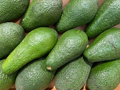 Foto Avocado Pinkerton Calibro 10/12 Origine Brasile Marchio Mehadrin 2