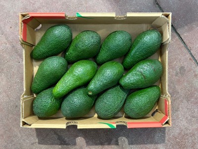 Foto Avocado Pinkerton Calibro 10/12 Origine Brasile Marchio Mehadrin 3