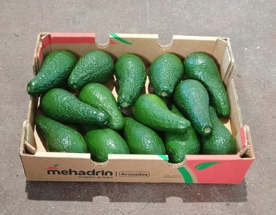 Foto Avocado Varietà Pinkerton Calibro 12/14 Origine Brasile Marchio Mehadrin 1