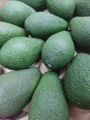 Foto Avocado Varietà Pinkerton Calibro 14 Origine Sud Africa Marchio Westfalia 2
