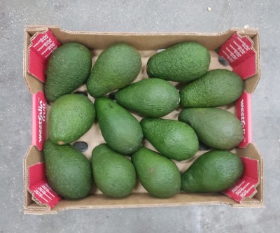 Foto Avocado Varietà Pinkerton Calibro 14 Origine Sud Africa Marchio Westfalia 3