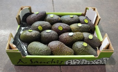 Foto Avocado Hass Calibro 14 Origine Spagna MArchio Sanchis 1