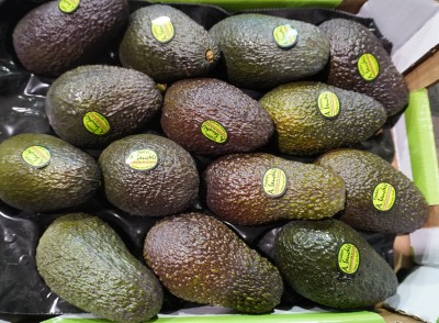 Foto Avocado Hass Calibro 14 Origine Spagna MArchio Sanchis 2