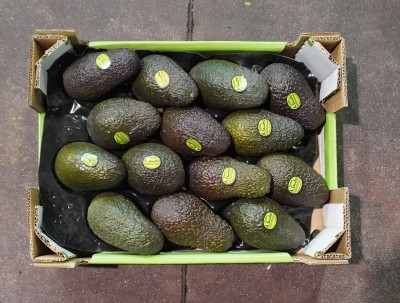 Foto Avocado Hass Calibro 14 Origine Spagna MArchio Sanchis 3