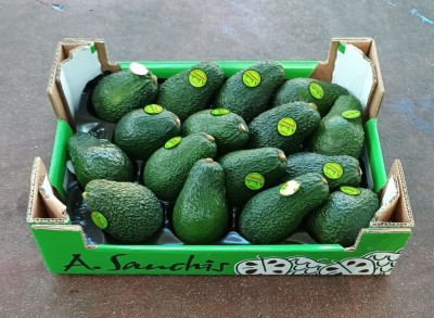 Foto Avocado Hass Calibro 16 Origine Spagna Marchio Sanchis.           1