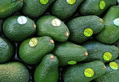 Foto Avocado Hass Calibro 16 Origine Spagna Marchio Sanchis.           2