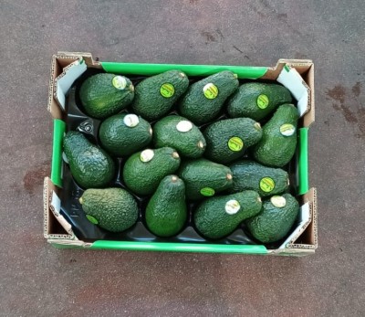 Foto Avocado Hass Calibro 16 Origine Spagna Marchio Sanchis.           3