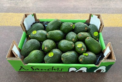 Foto Avocado Hass Calibro 18 Origine Spagna Marchio Sanchis.           1