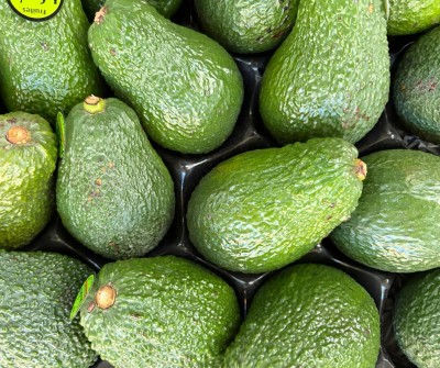 Foto Avocado Hass Calibro 18 Origine Spagna Marchio Sanchis.           2