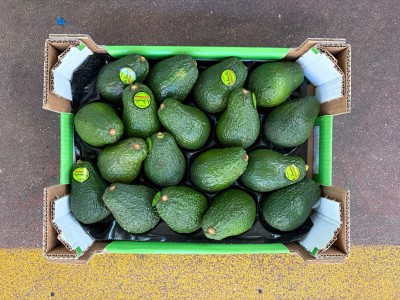Foto Avocado Hass Calibro 18 Origine Spagna Marchio Sanchis.           3