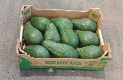 Foto Avocado Varietà Pinkerton Calibro 10 Origine Kenia Marchio Halls   1