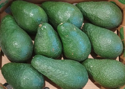 Foto Avocado Varietà Pinkerton Calibro 10 Origine Kenia Marchio Halls   2
