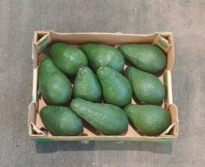Foto Avocado Varietà Pinkerton Calibro 10 Origine Kenia Marchio Halls   3