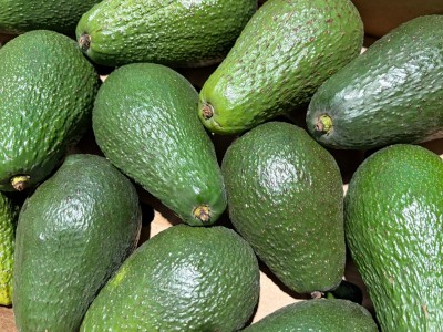 Foto Avocado Pinkerton Calibro 12/14 Origine Kenya Marchio Halls            2