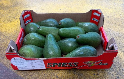 Foto Avocado Varietà Fuerte Calibro 12 Origine Sud Africa Marchio Piess              1