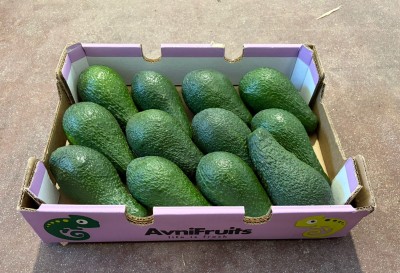 Foto Avocado Pinkerton Calibro 12 Origine Israele Marchio Avnifruits 1