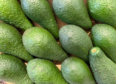 Foto Avocado Pinkerton Calibro 12 Origine Israele Marchio Avnifruits 2