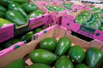 Foto Avocado Varietà  Ettinger Origine Israele Marchio ''Granot '' Confezione da 12 Frutti            3