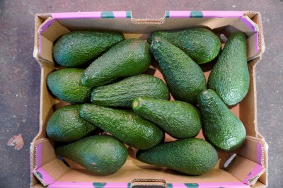Foto Avocado Pinkerton Confezione da 12 Frutti Origine Israele Marchio Granot               1